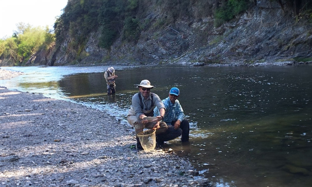 guided walk and wade fly fishing bow river 