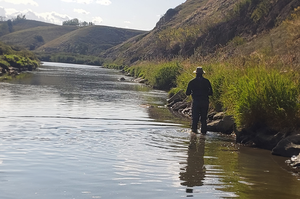 Meditative Walk and Wade fly fishing on the bow river