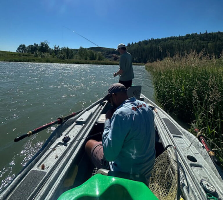 Half day Fly fishing with guide on Bow river catching trout in drift boat.